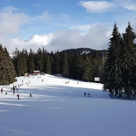 Vendégház Pensiunea Skiland Bányahavas